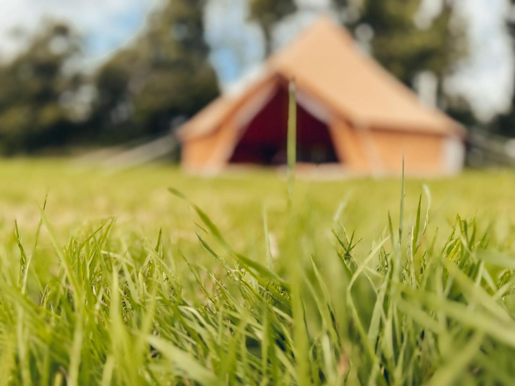 Fully Furnished Bell Tent 1 *
